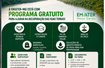 Sem título