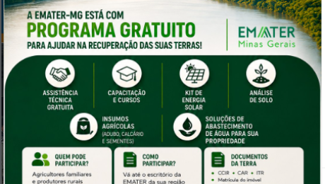 Sem título